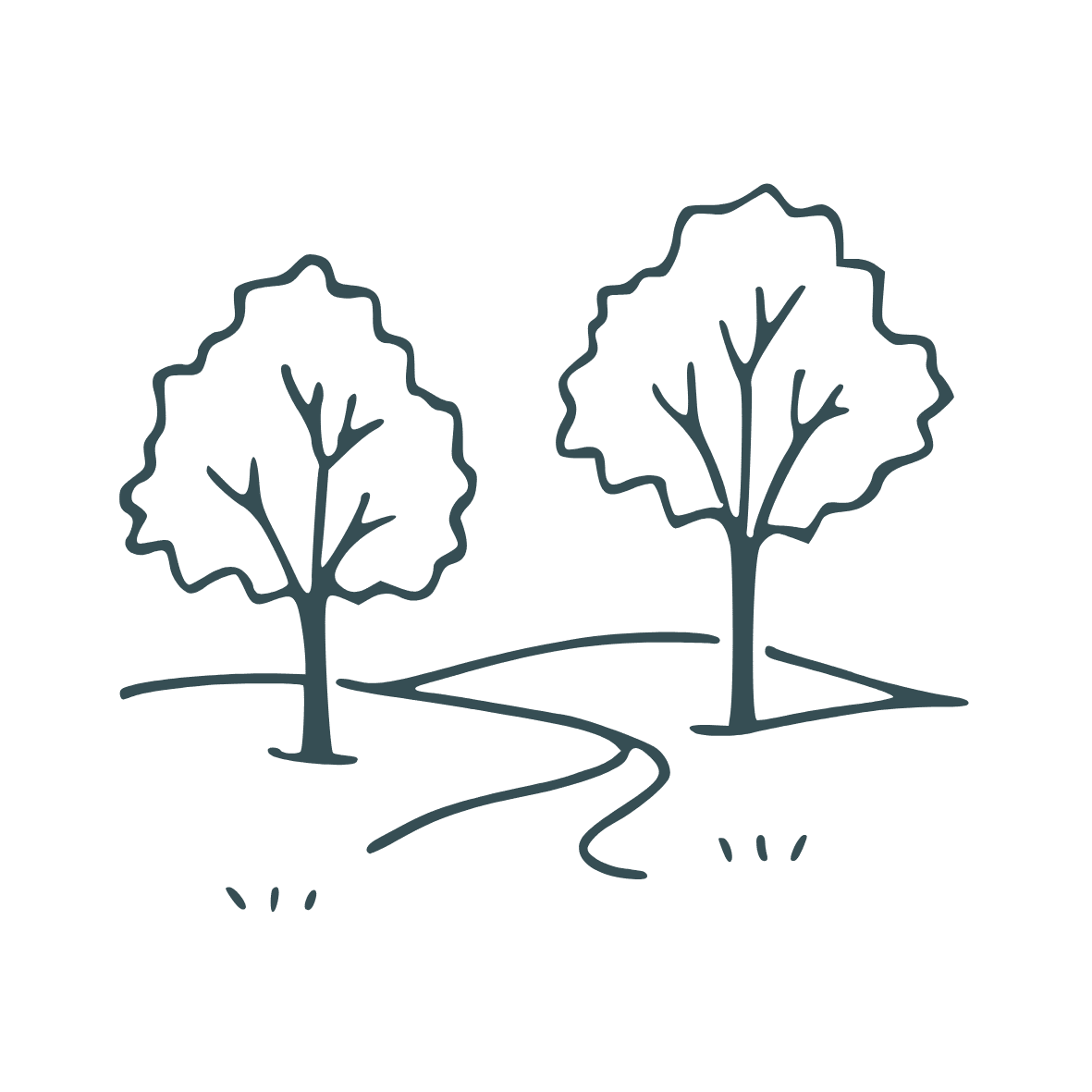 Simple line drawing of two trees on a grassy hill with a winding path between them.