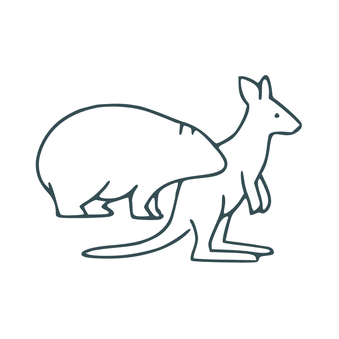 Outline drawing of a wombat standing behind a kangaroo on a plain white background.