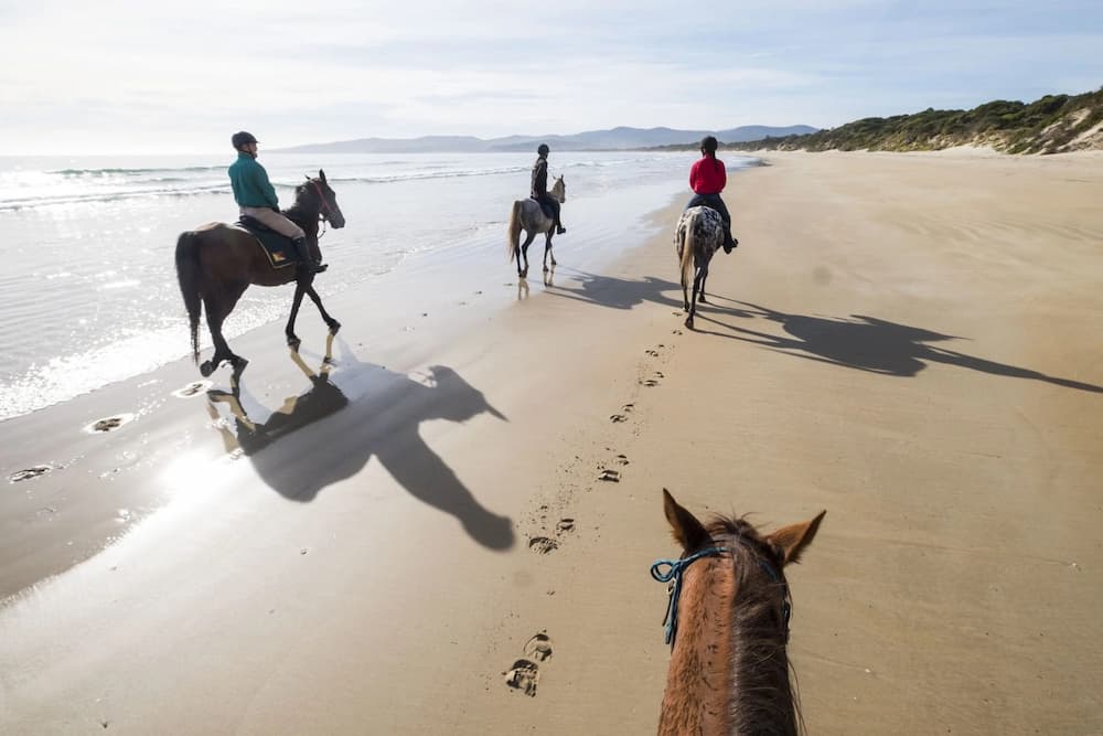 Four people riding horses along a sandy beach, leaving hoofprints near the shoreline, with gentle waves and distant hills in the background.